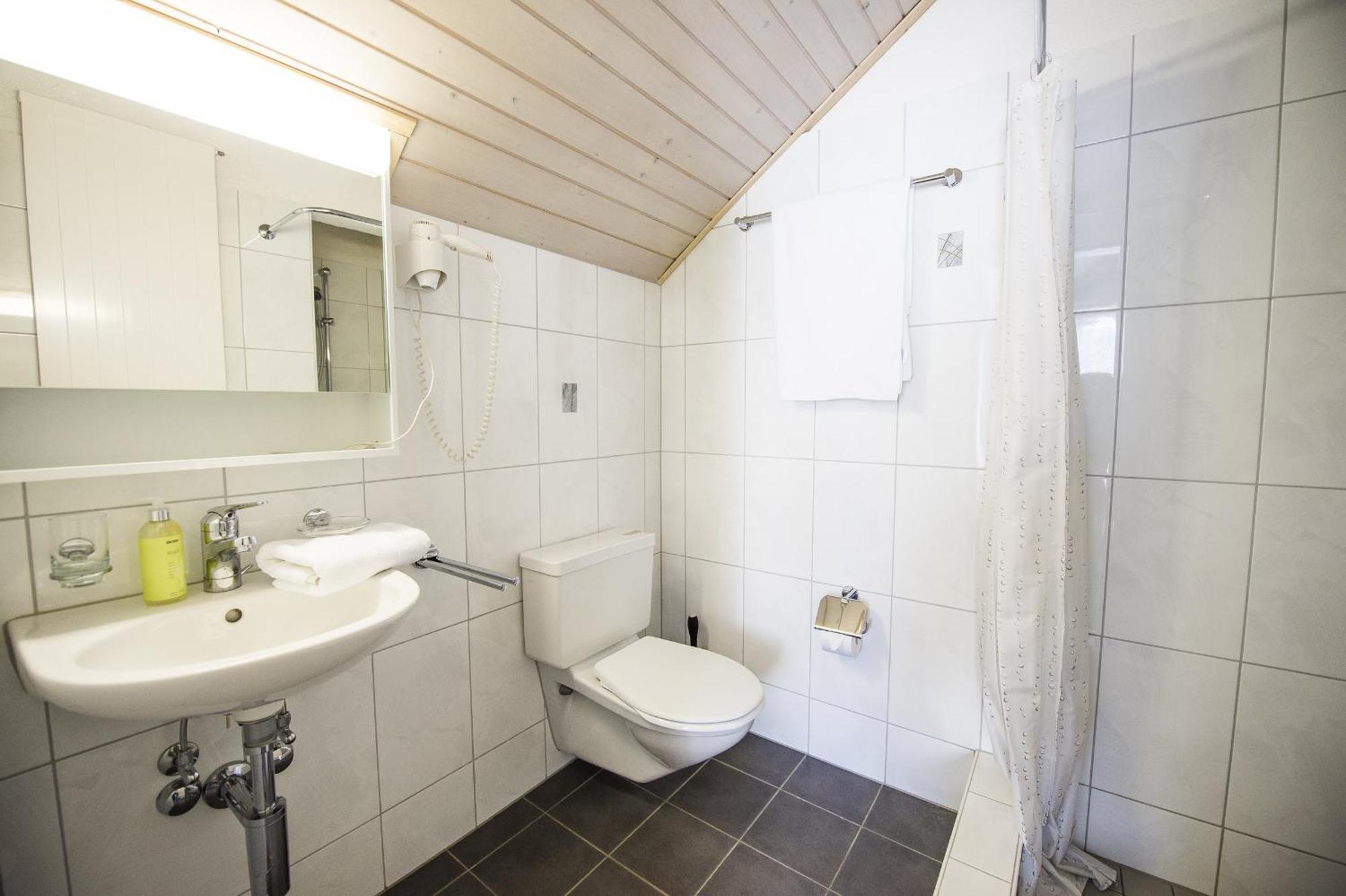 Hotel Sternen Raterschen Pokoj fotografie